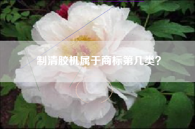 制清胶机属于商标第几类？