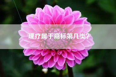 理疗属于商标第几类? 理疗属于商标第几类?