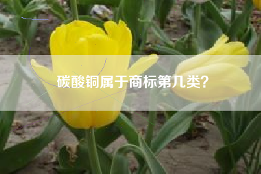 碳酸铜属于商标第几类？