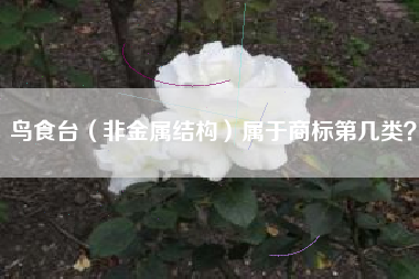 鸟食台（非金属结构）属于商标第几类？