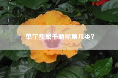 单宁酸属于商标第几类？