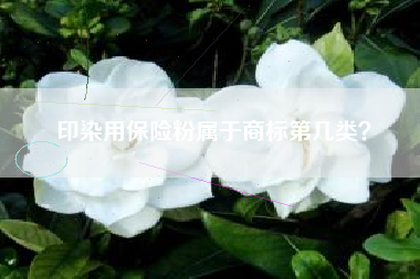 印染用保险粉属于商标第几类？