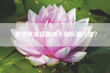 食物保温容器属于商标第几类？