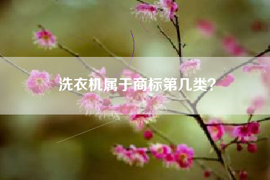 洗衣机属于商标第几类？
