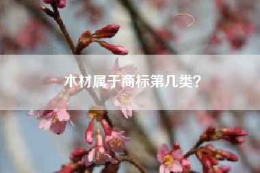 木材属于商标第几类？