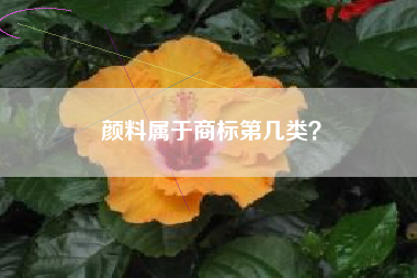 颜料属于商标第几类? 颜料属于商标第几类?