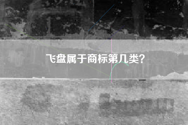 飞盘属于商标第几类？