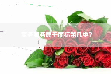 家务服务属于商标第几类? 家务服务属于商标第几类?