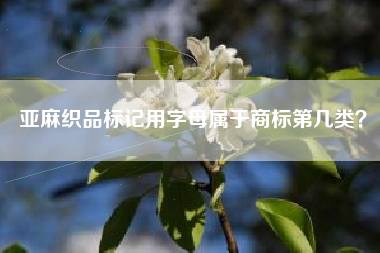 亚麻织品标记用字母属于商标第几类？