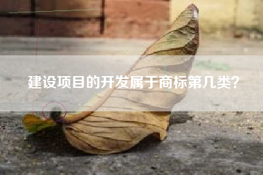 建设项目的开发属于商标第几类？