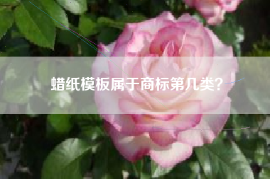 蜡纸模板属于商标第几类？