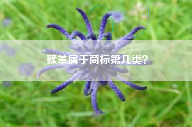 鞣革属于商标第几类？