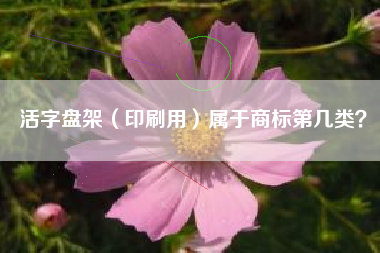 活字盘架（印刷用）属于商标第几类？