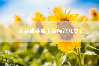 蔬菜罐头属于商标第几类？