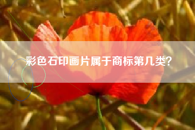 彩色石印画片属于商标第几类？