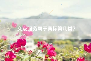 交友服务属于商标第几类? 交友服务属于商标第几类?