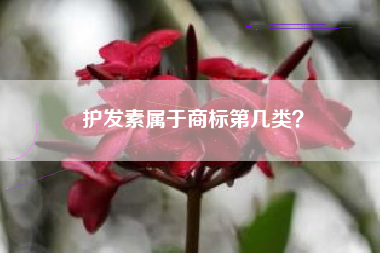 护发素属于商标第几类? 护发素属于商标第几类?