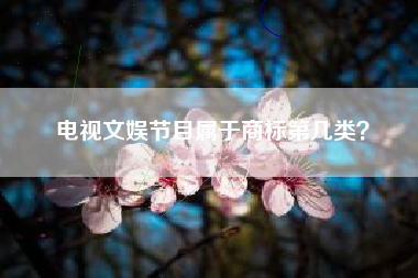 电视文娱节目属于商标第几类? 电视文娱节目属于商标第几类?