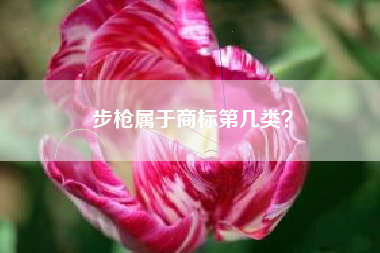 步枪属于商标第几类？