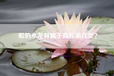船的木龙骨属于商标第几类？