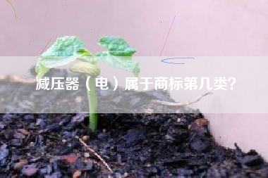 减压器（电）属于商标第几类？