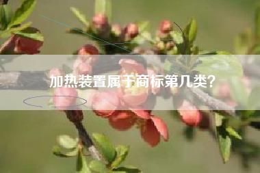 加热装置属于商标第几类？