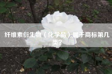 纤维素衍生物（化学品）属于商标第几类？