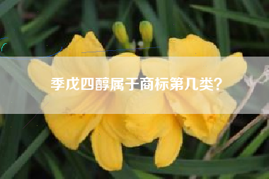 季戊四醇属于商标第几类？