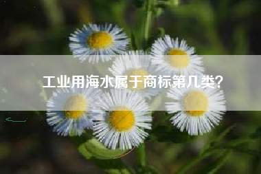 工业用海水属于商标第几类？