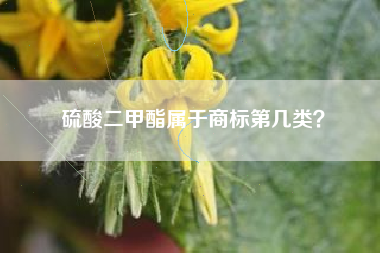硫酸二甲酯属于商标第几类？