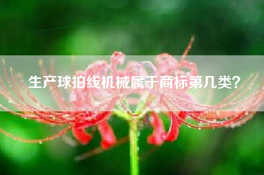 生产球拍线机械属于商标第几类？