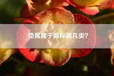垫席属于商标第几类？