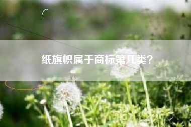 纸旗帜属于商标第几类？