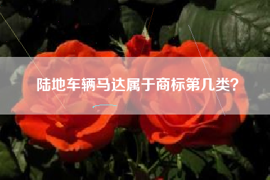 陆地车辆马达属于商标第几类？