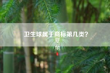 卫生球属于商标第几类？