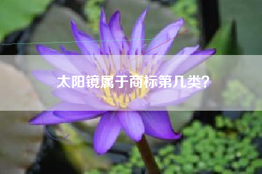 太阳镜属于商标第几类？