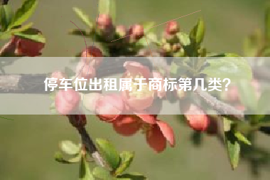 停车位出租属于商标第几类？