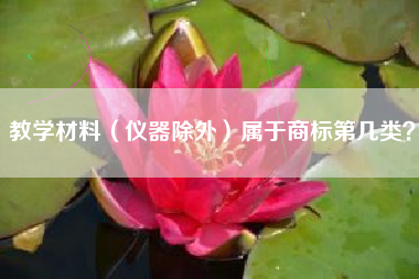 教学材料（仪器除外）属于商标第几类？