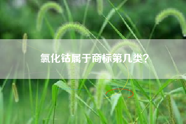 氯化钴属于商标第几类？