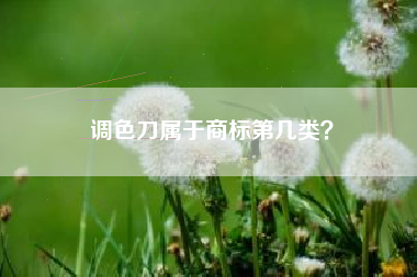 调色刀属于商标第几类？