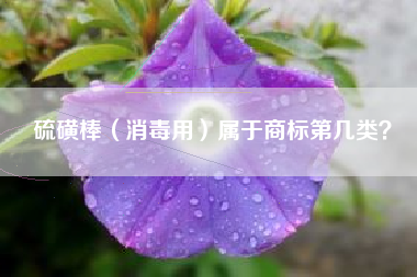 硫磺棒（消毒用）属于商标第几类？