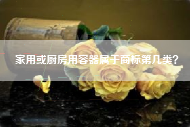 家用或厨房用容器属于商标第几类？