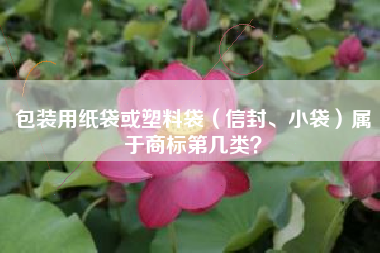包装用纸袋或塑料袋（信封、小袋）属于商标第几类？