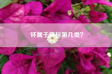 钚属于商标第几类？