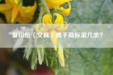 复印纸（文具）属于商标第几类？