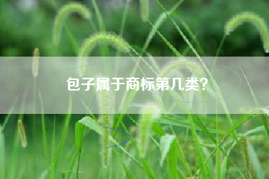 包子属于商标第几类？