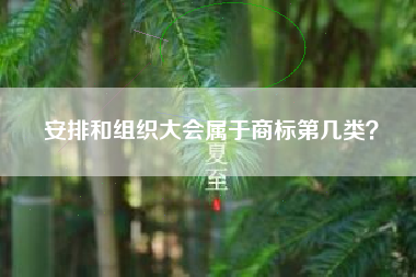 安排和组织大会属于商标第几类？