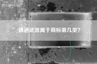 弹道武器属于商标第几类？