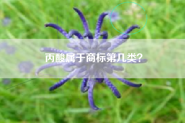 丙酸属于商标第几类？