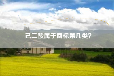 己二酸属于商标第几类？